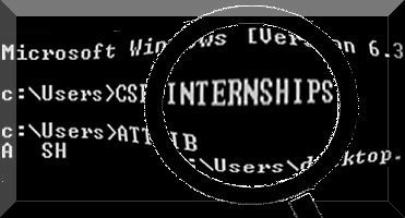 Internships