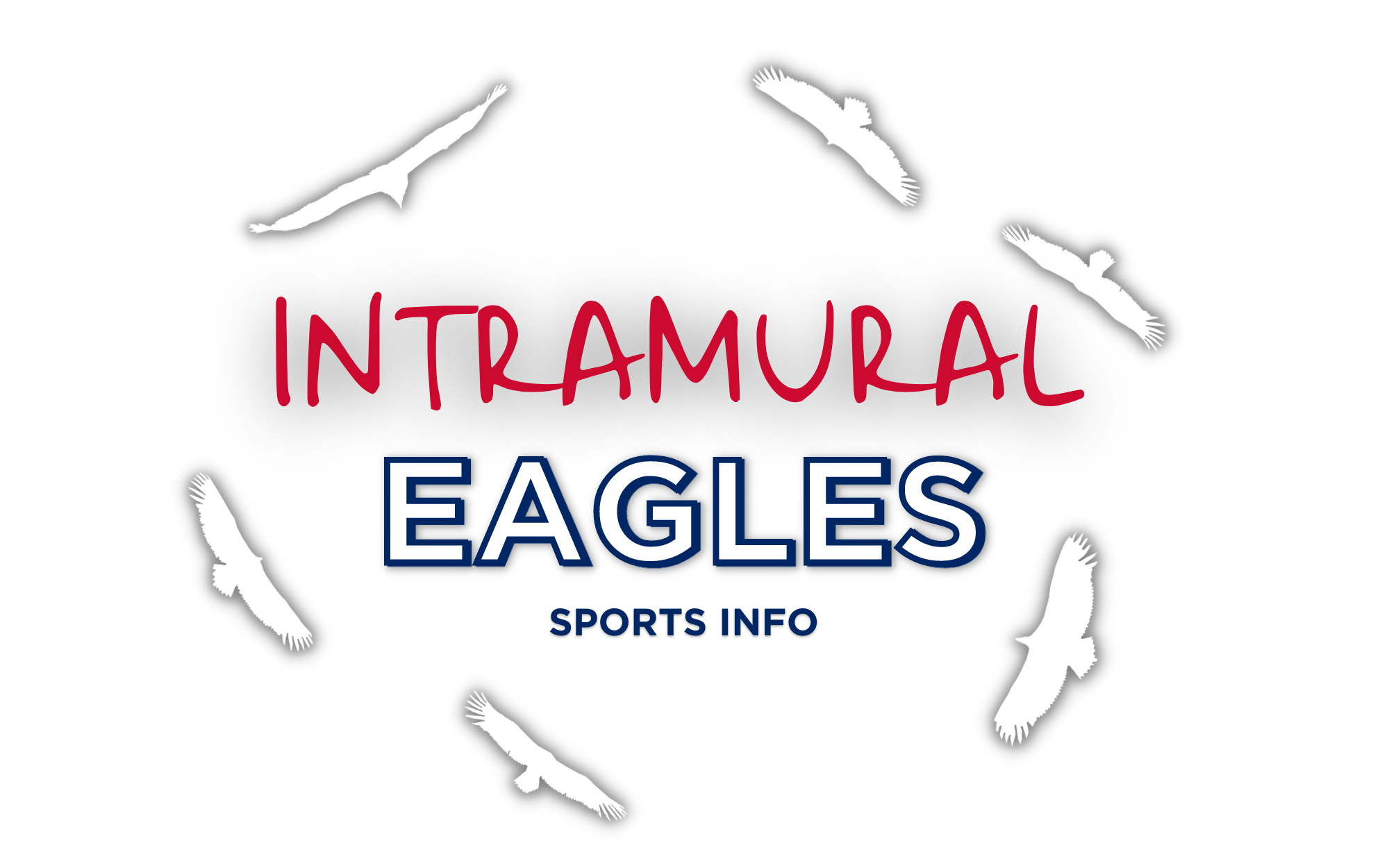 Intramural Sports image with various sport-related balls (e.g., football, soccer ball, basketball)