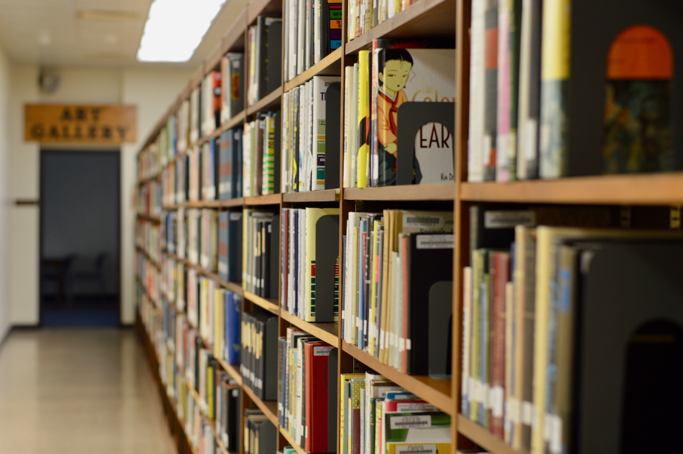 Library patron look selecting books from shelves