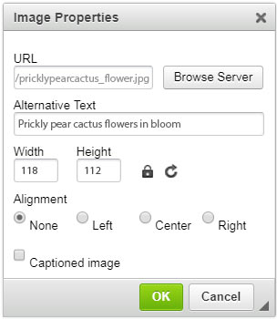 Mura Image Properties box